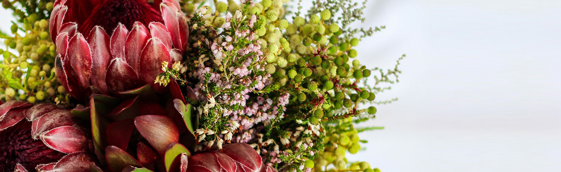 オンラインショップこちら